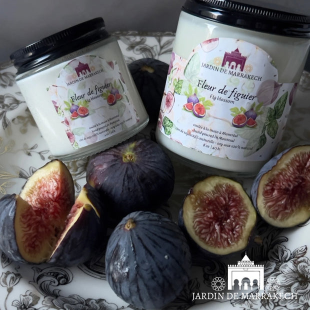 Fleur de figuier - Fig blossom