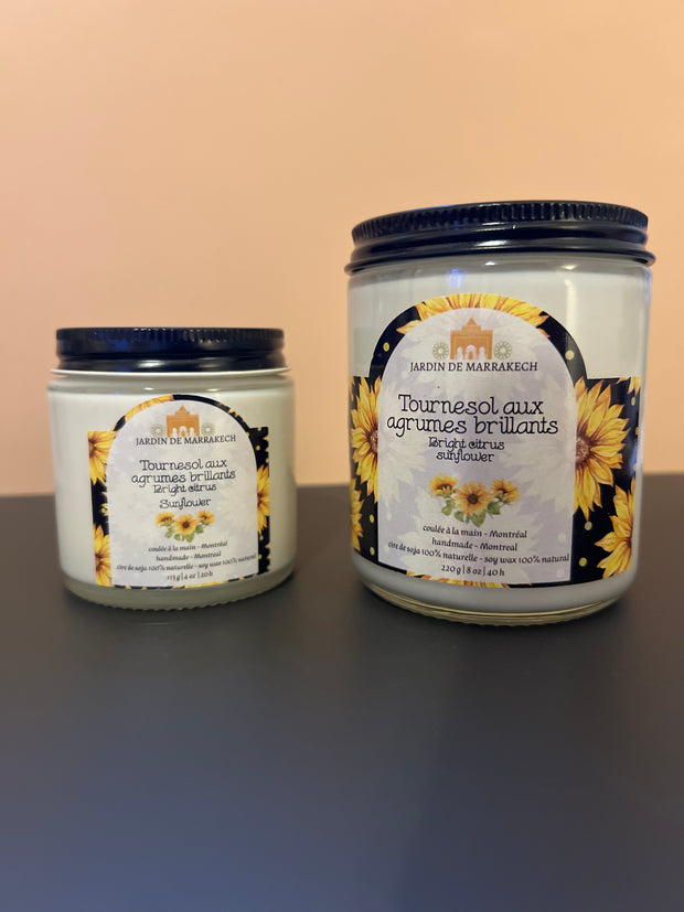 Tournesol aux agrumes brillants - Bright citrus sunflower