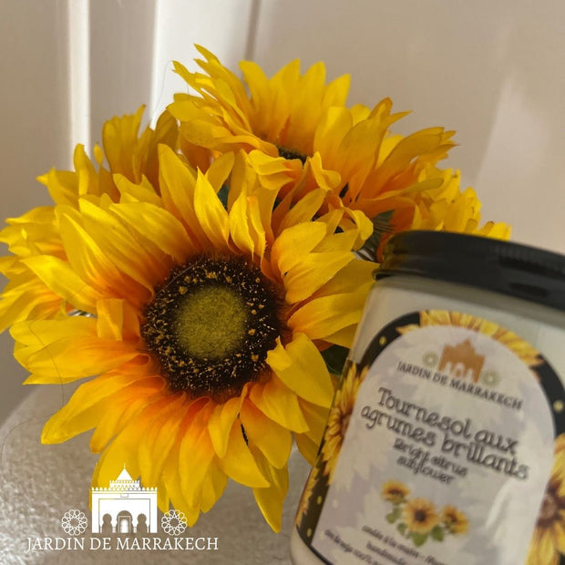 Bright Citrus Sunflower 